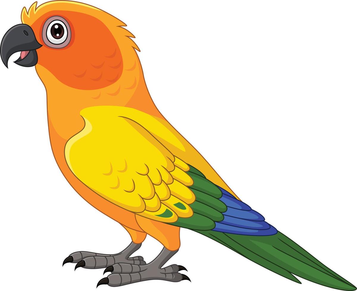 loro conure de sol de dibujos animados sobre fondo blanco vector