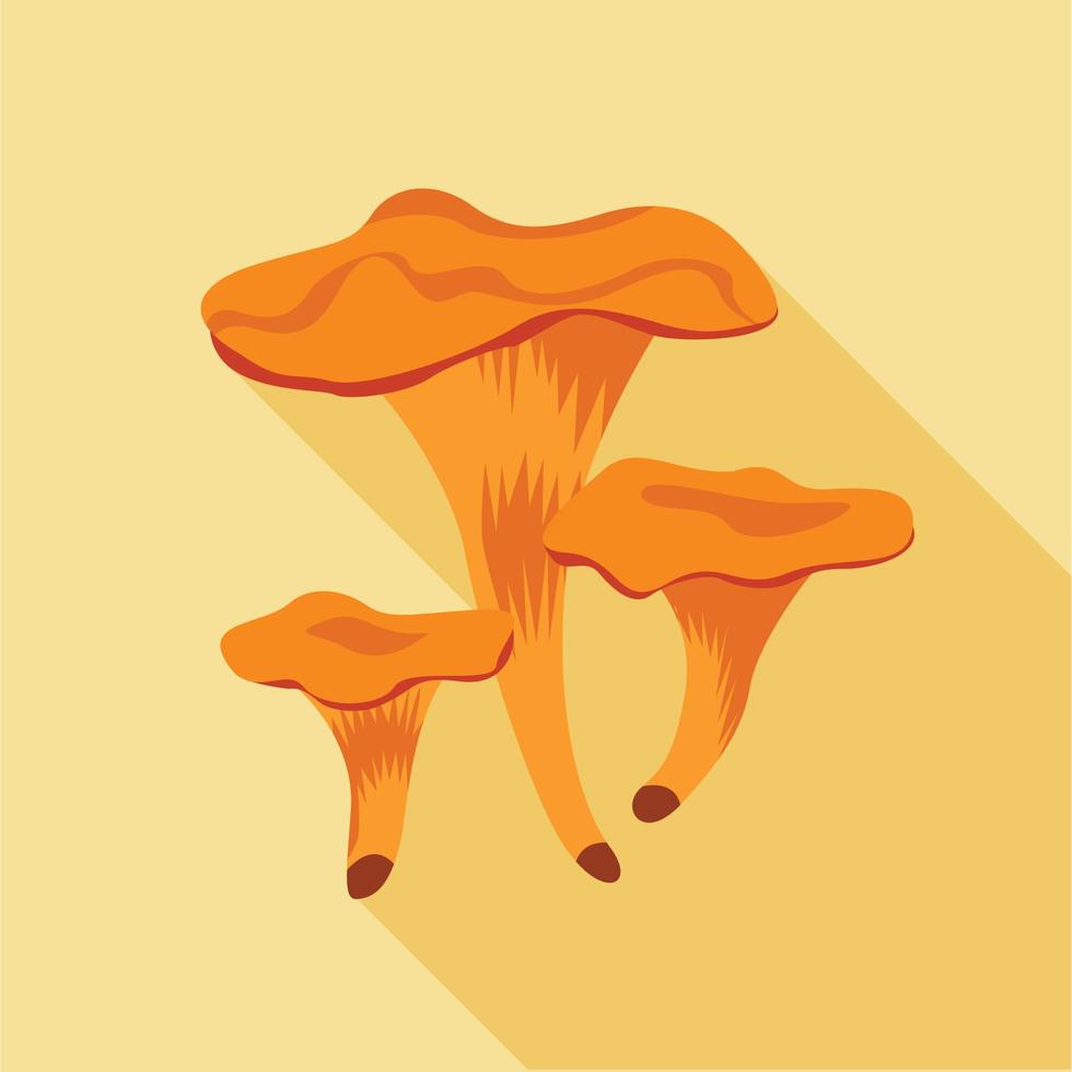 Chanterelle mushrooms icon, flat style vector