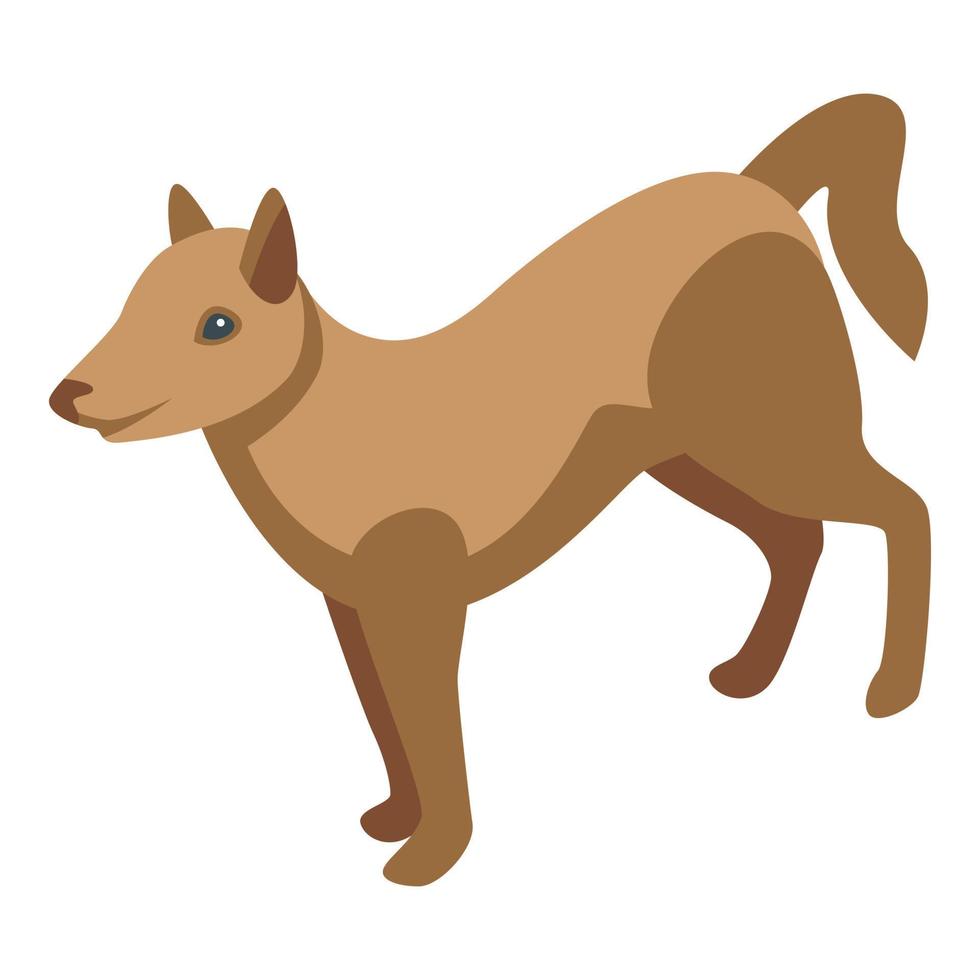 vector isométrico del icono del perro shiba. arreglo de spa