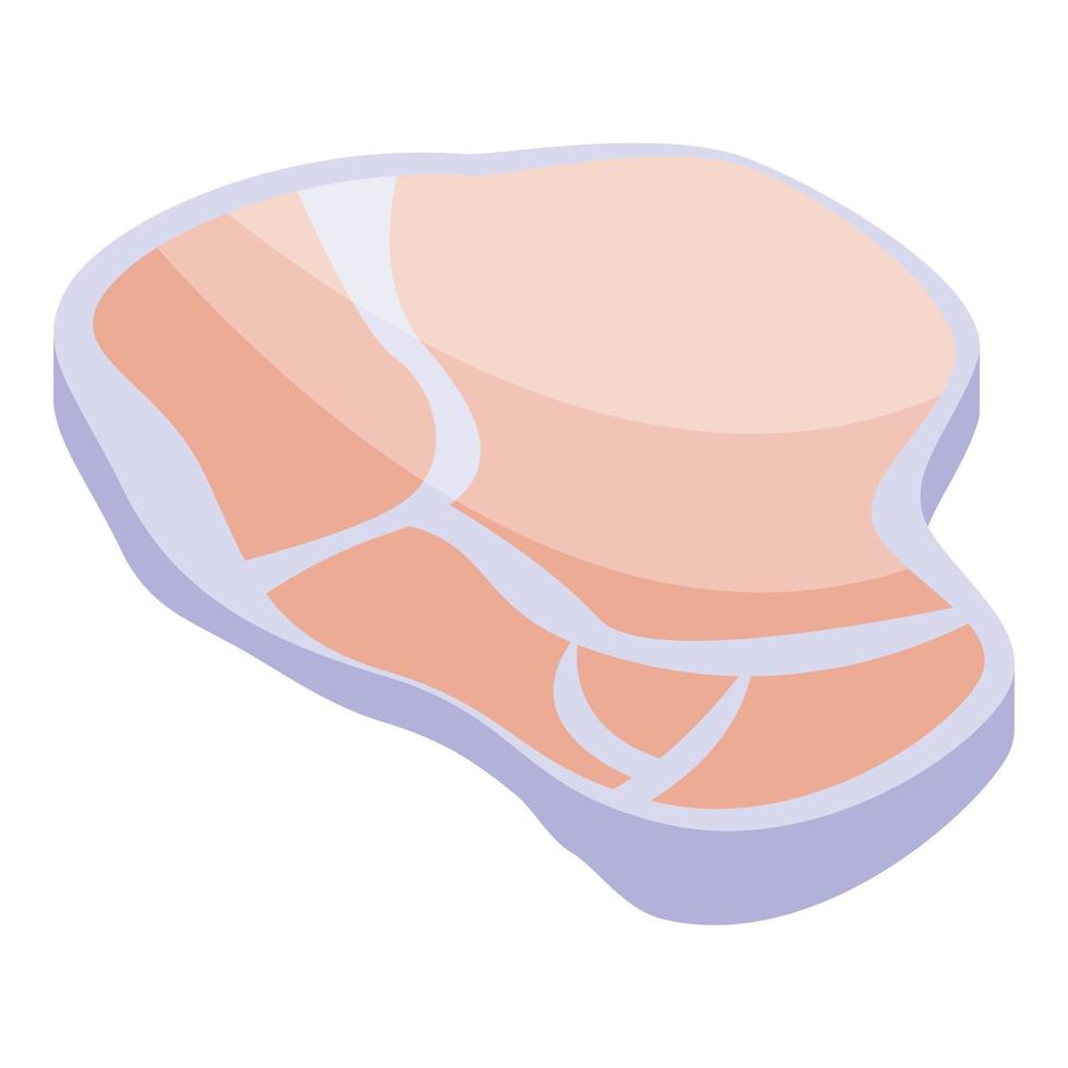 Raw meat icon isometric vector. Mineral iron vector