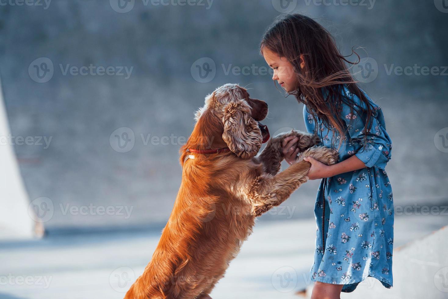 Pet stands on on the hind legs. Cute little girl have a walk with her dog outdoors at sunny day photo