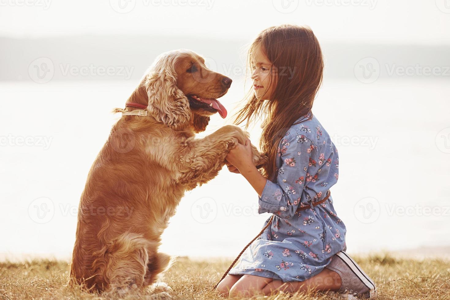 Holding by the hands. Cute little girl have a walk with her dog outdoors at sunny day photo