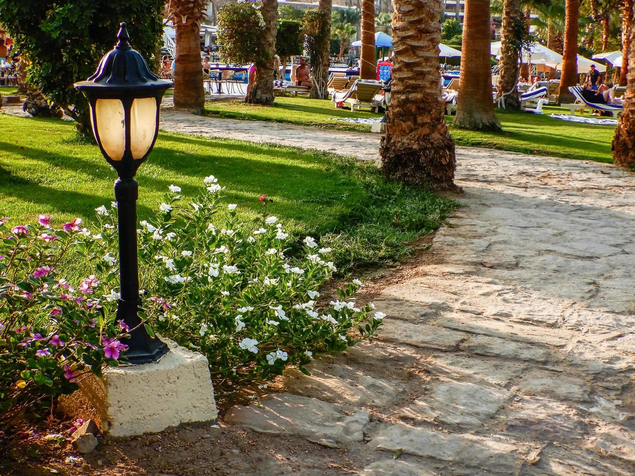 lantern at the stony path with palm trees to the pool photo