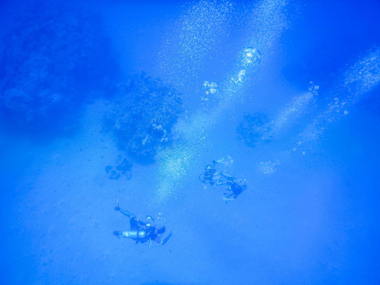 buzos en el azul profundo del mar rojo en egipto foto