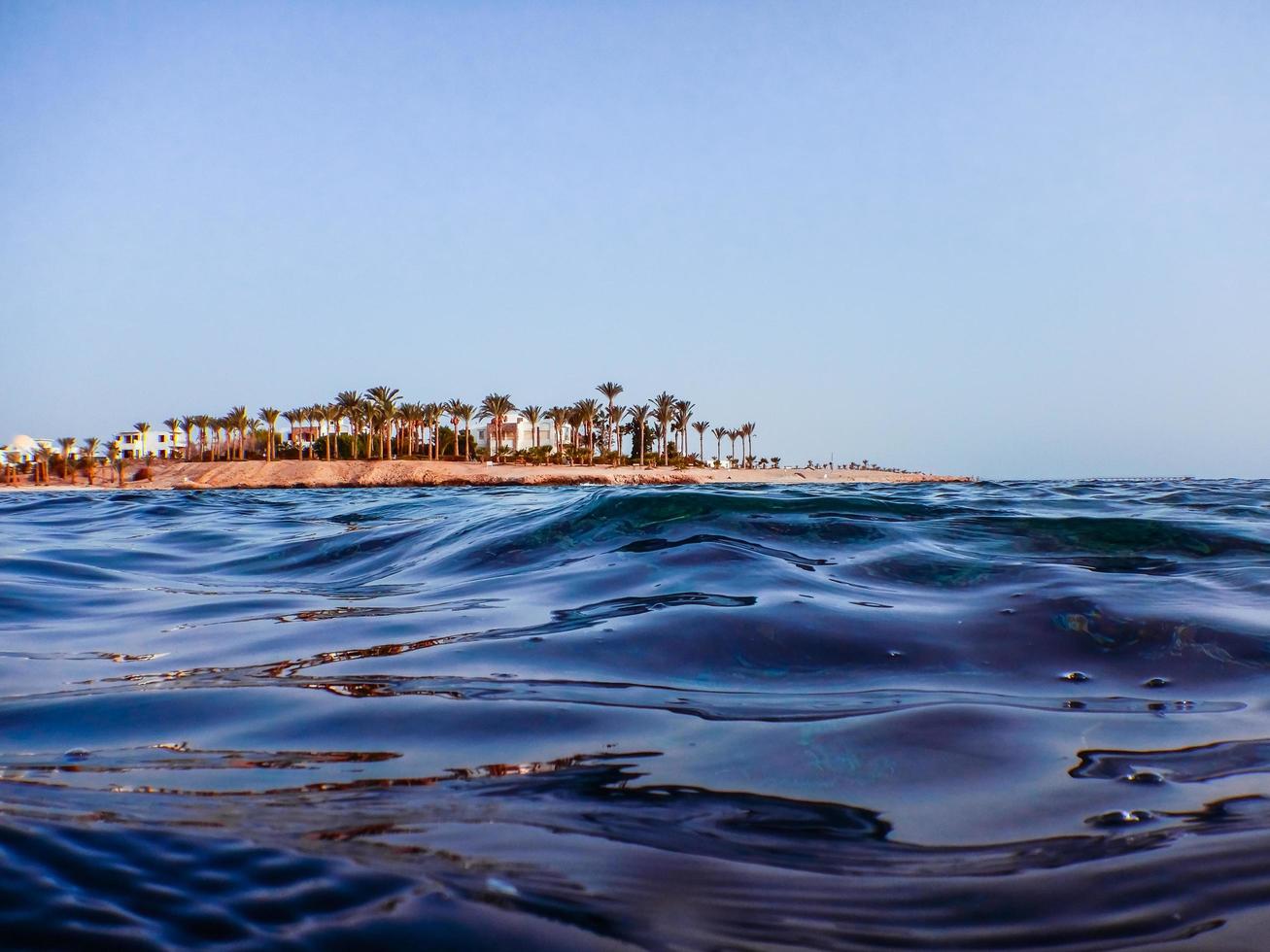 view to the beach with palm trees during snorkeling in the red sea photo