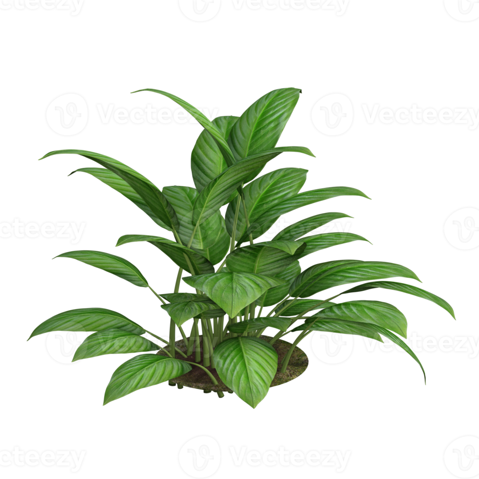 green plant 3d rendering png