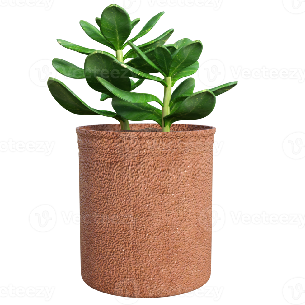 green plant 3d rendering png