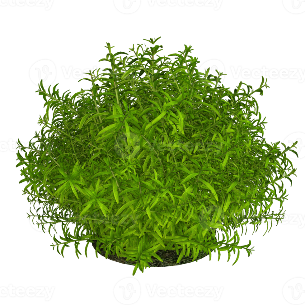 green plant 3d rendering png