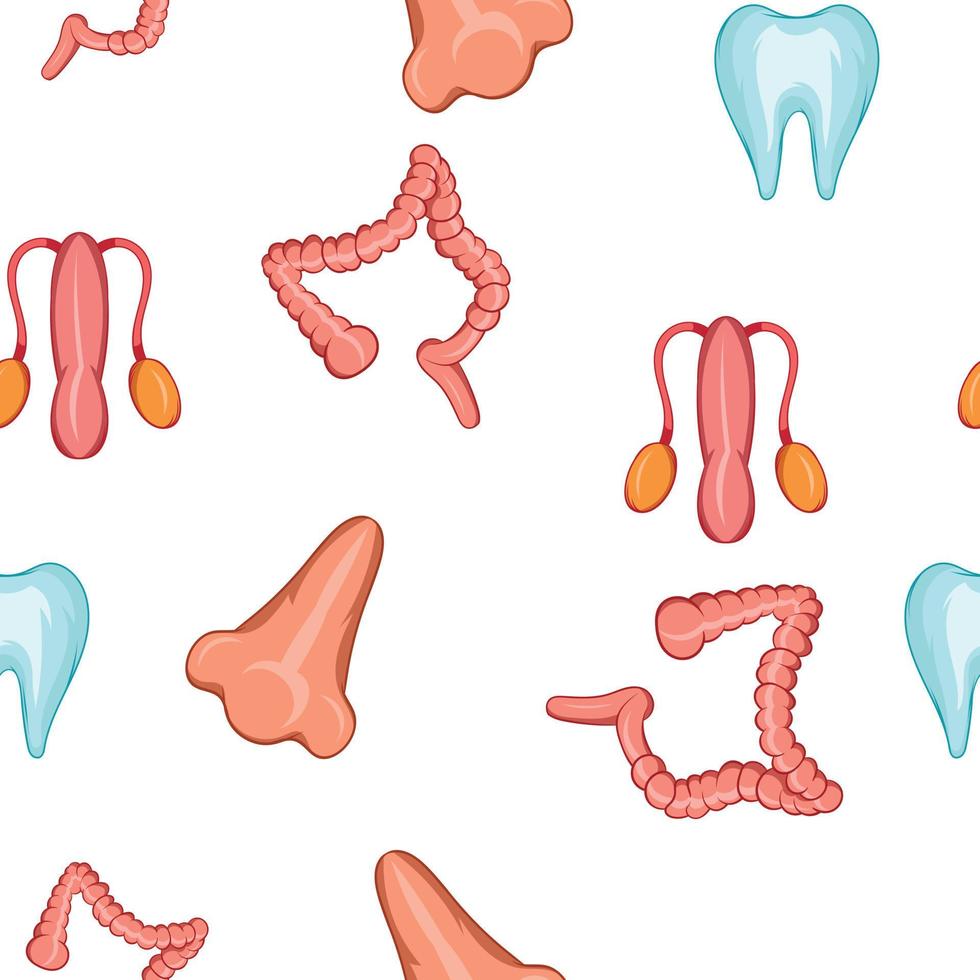 Structure of human pattern, cartoon style vector