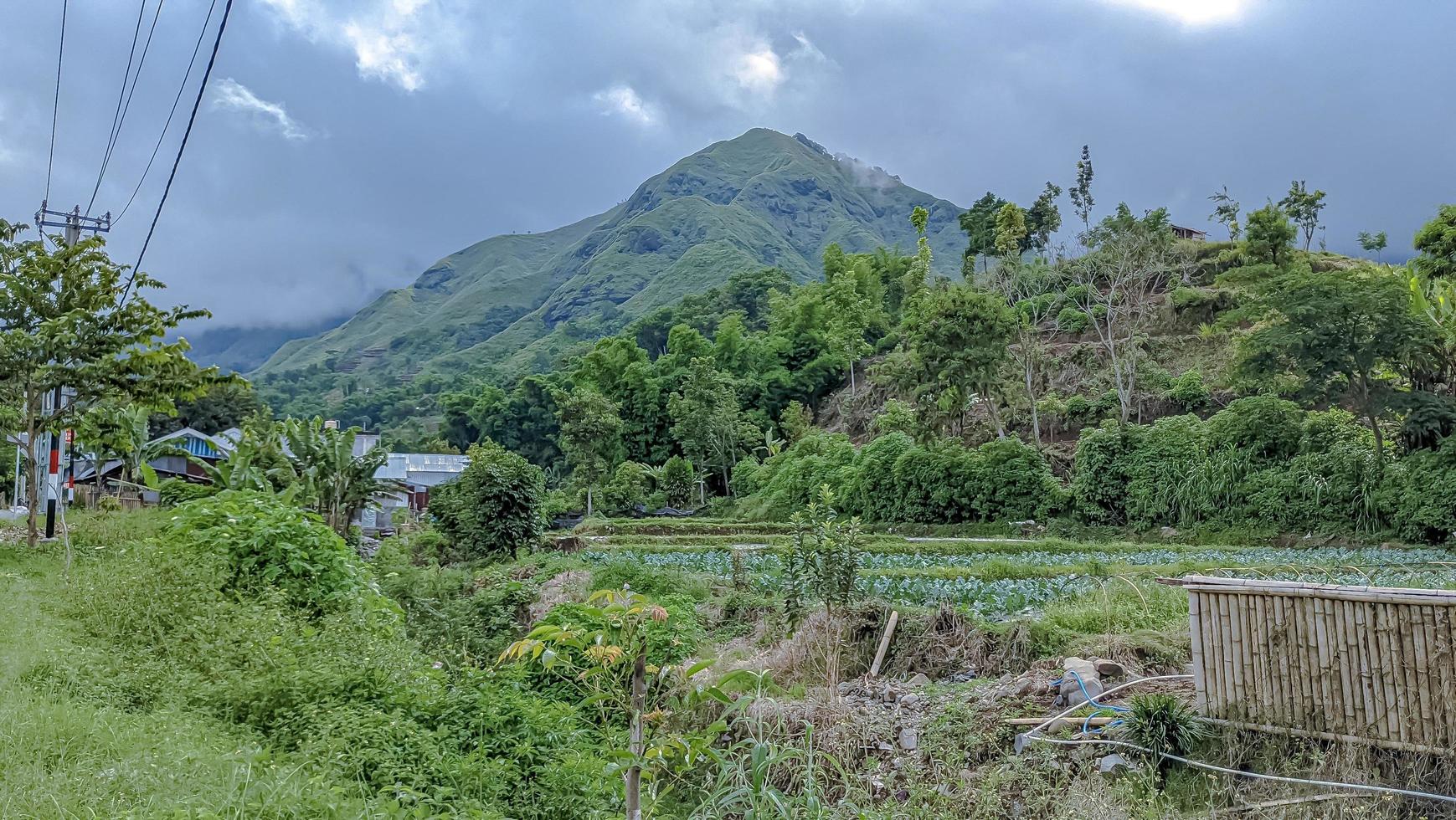 beautiful scenery in Sembalun near Rinjani volcano in Lombok, Indonesia. Travel, freedom and active lifestyle concept. photo