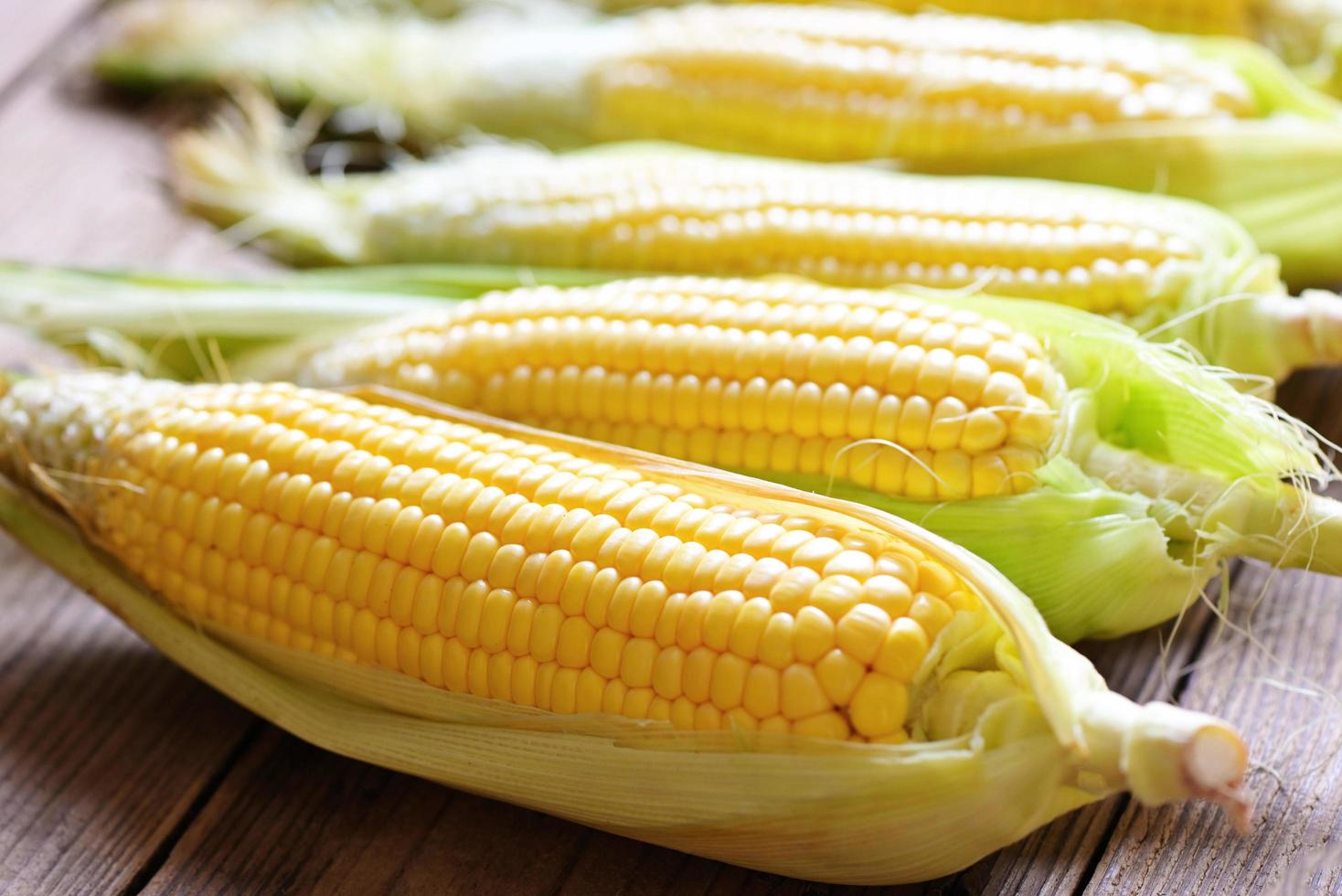 Fresh corn on wooden background, Harvest ripe corn organic, Corn on the cob, Sweet corn for cooking food photo