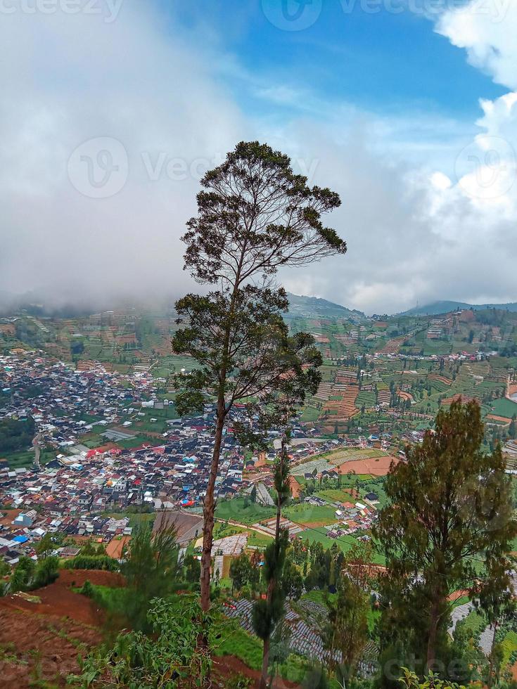 the village in the middle of the potato fields seen from the top of the hill in the Dieng plateau area photo