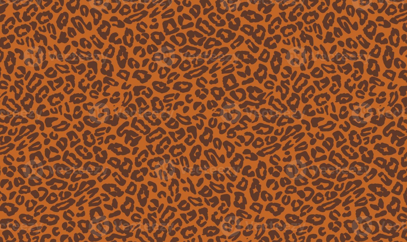 Wild Animal Leopard,Cheetah Skin Texture Seamless Pattern Background photo