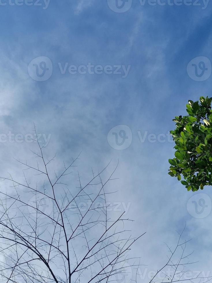 Natural background. Blue sky with puffy clouds background photo