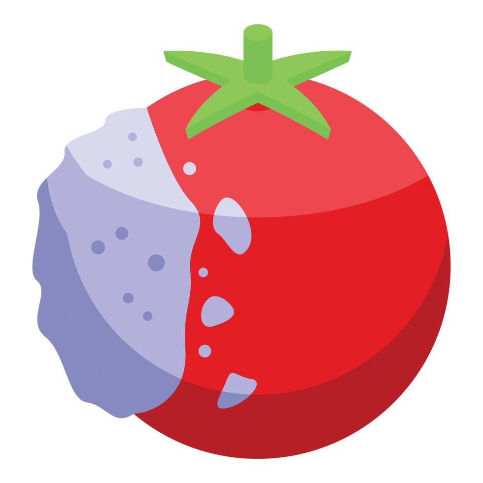 Fungal tomato icon isometric vector. Contaminated food vector