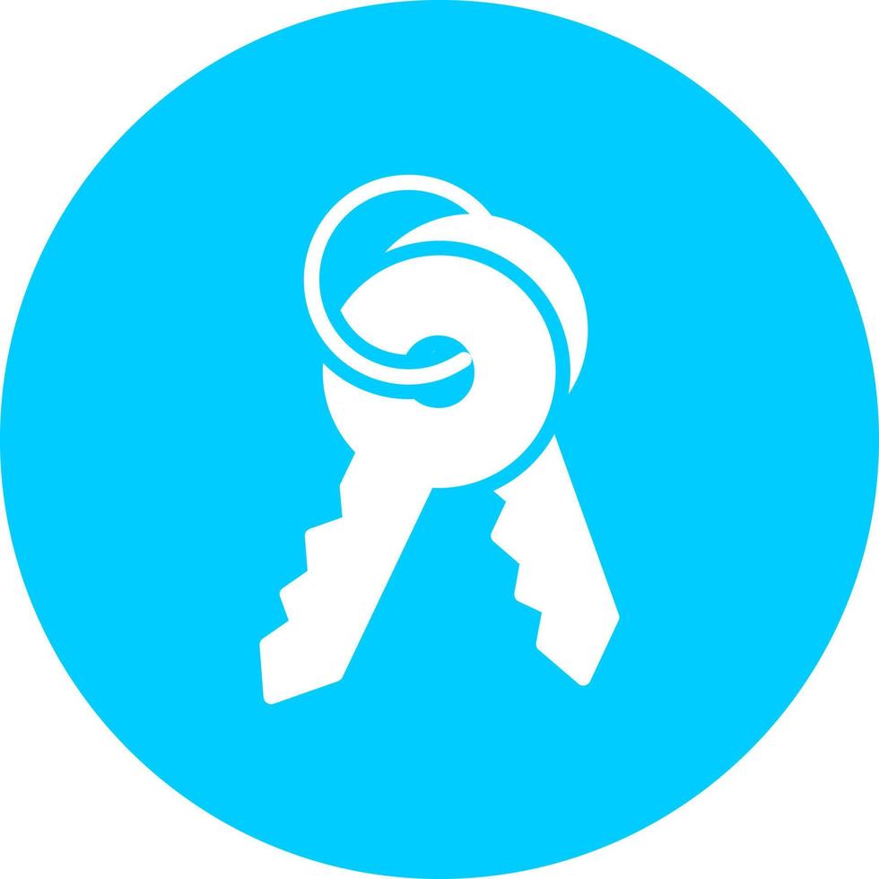 Key Vector Icon