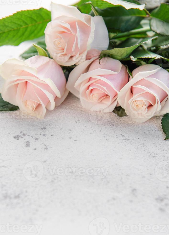 Top view on pink roses on a grey concrete background. photo