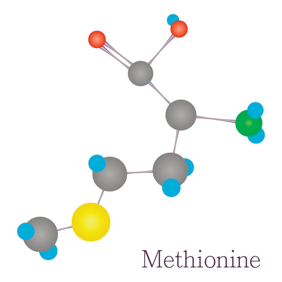 Methionine 3D molecule chemical science vector