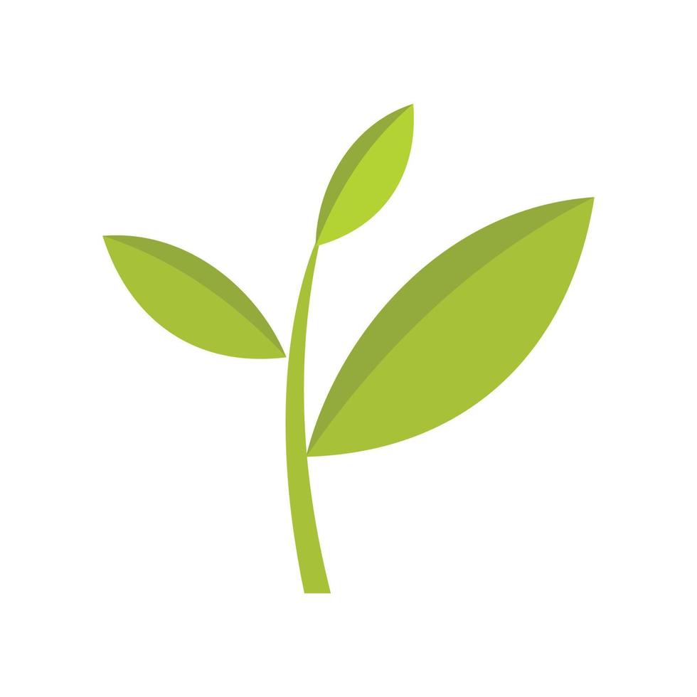 Tea plant icon, flat style vector