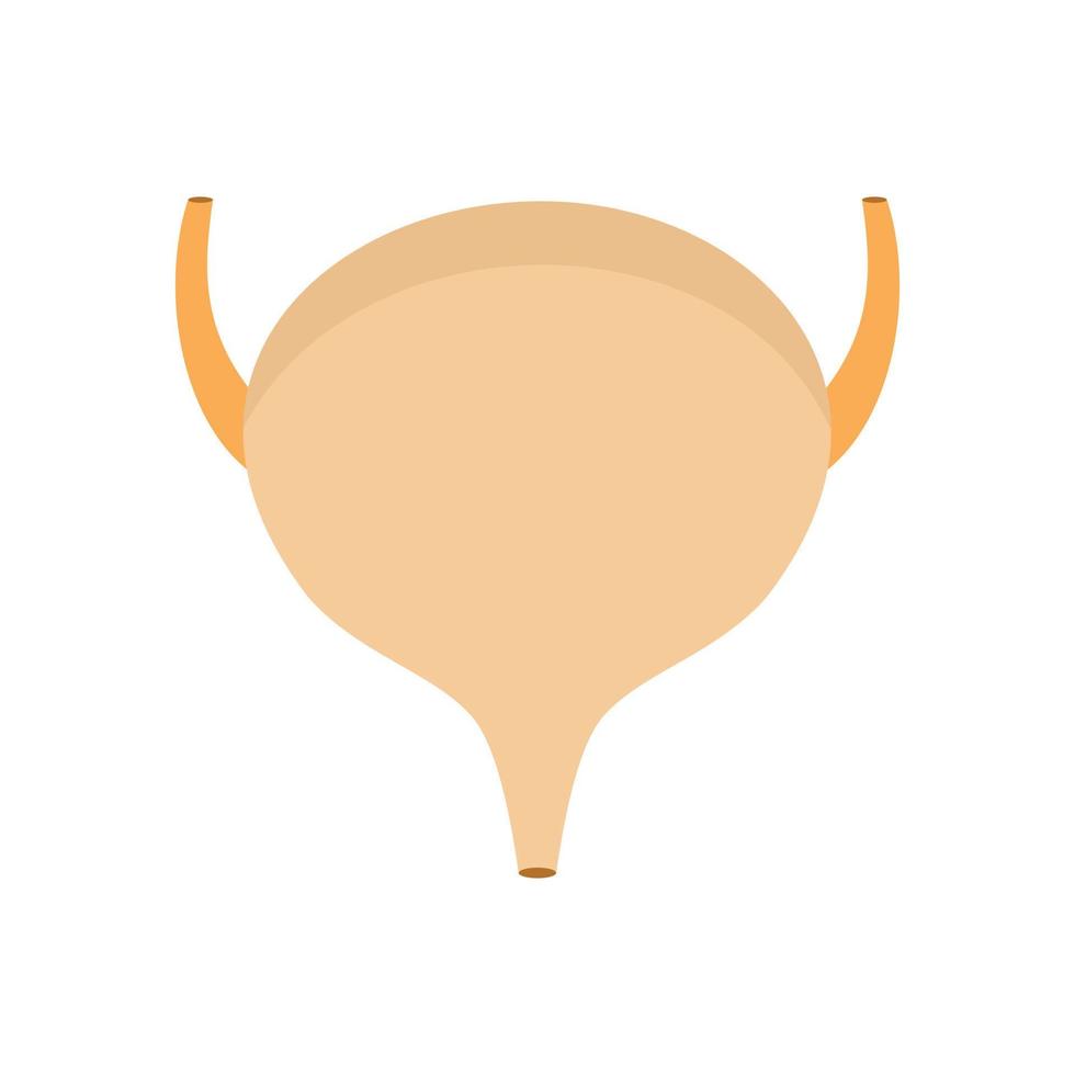 Bladder icon, flat style vector