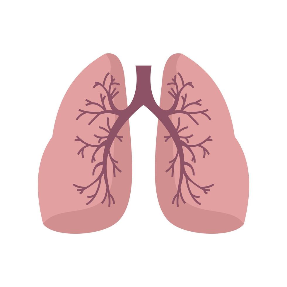 icono de pulmones, estilo plano vector