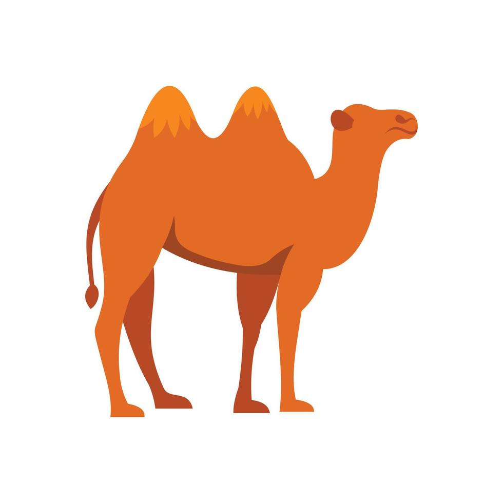 Camel icon, flat style vector