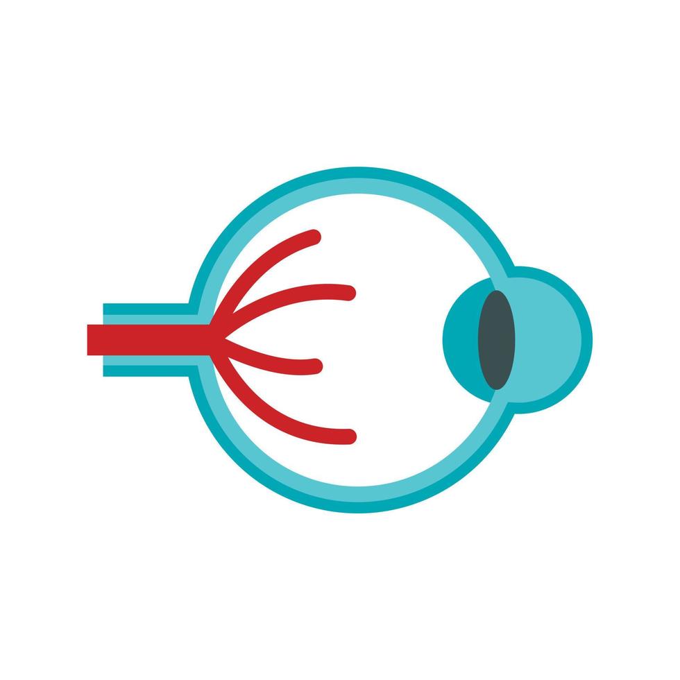 Eye anatomy icon, flat style vector