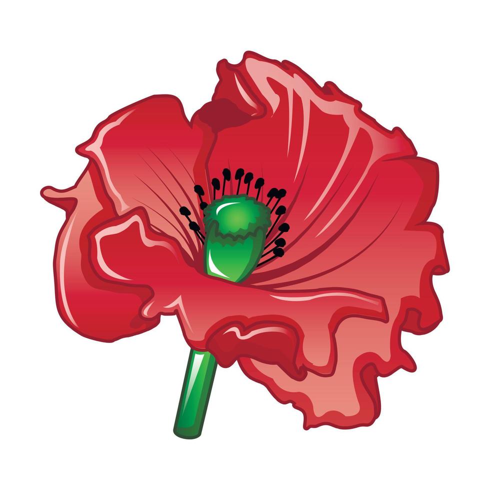 Garden poppy icon, cartoon style vector