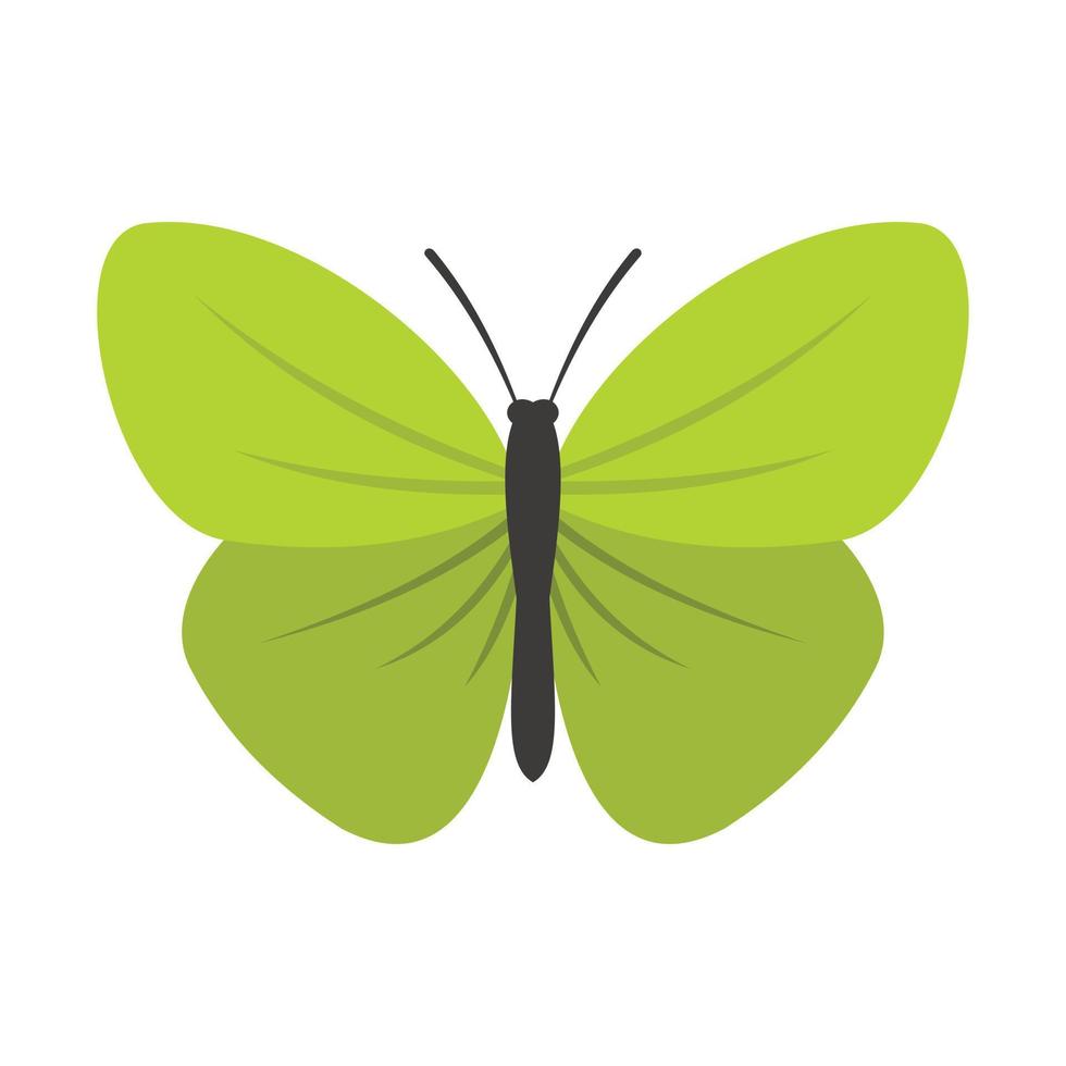 Insect butterfly with small wings icon, flat style vector