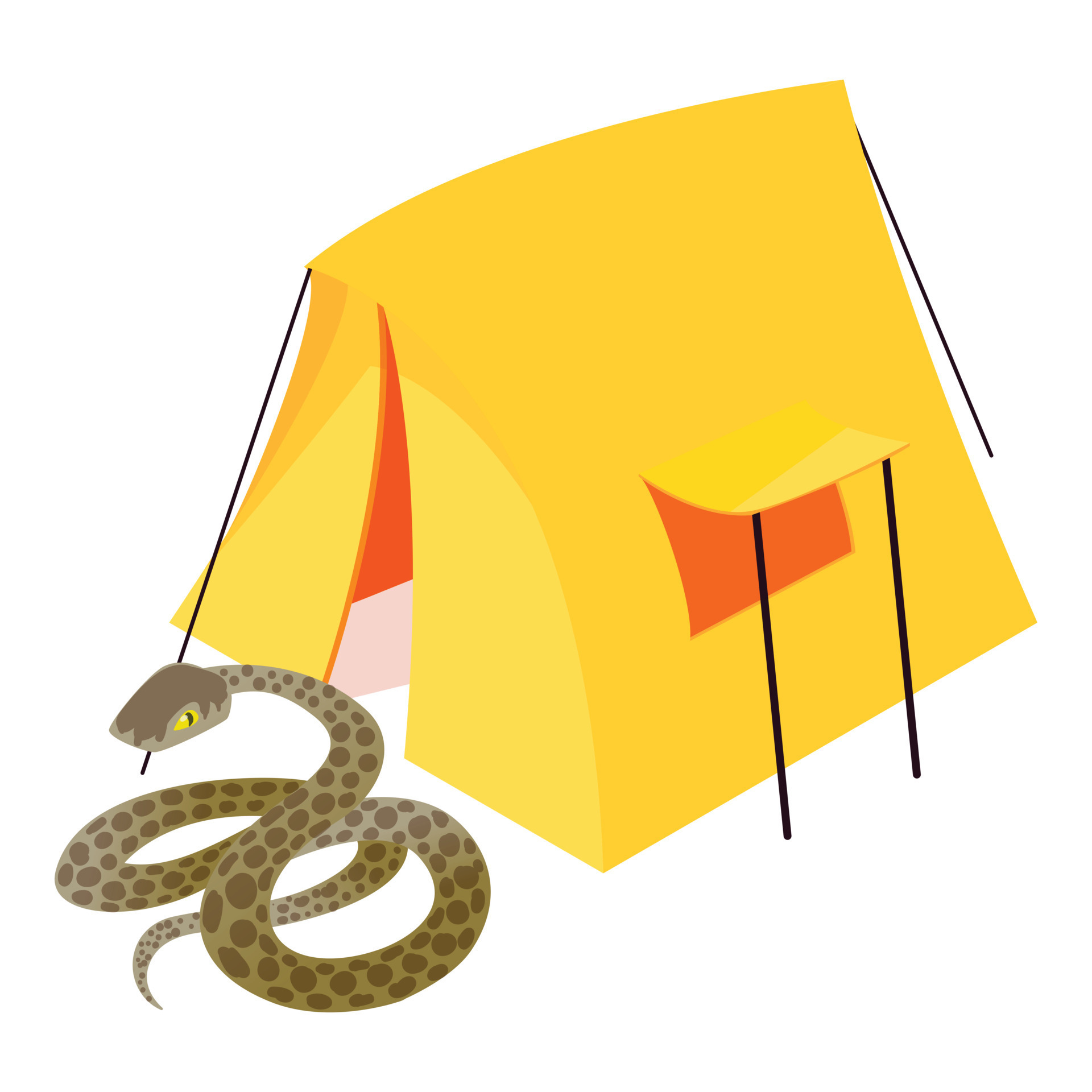 Common anaconda icon isometric vector. Huge anaconda near yellow ...