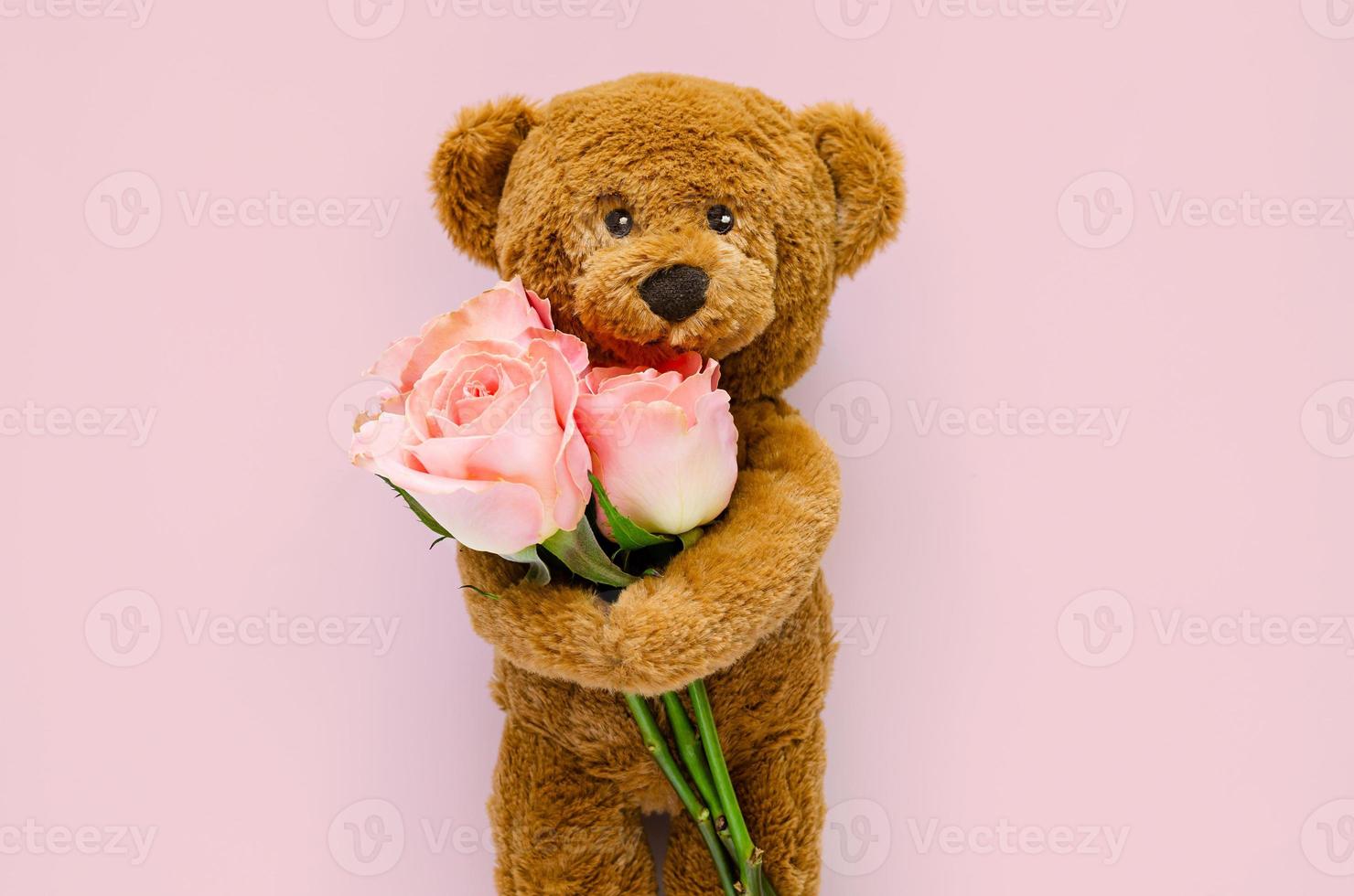 Brown teddy bear holding pink roses for Valentine day on pink background. photo