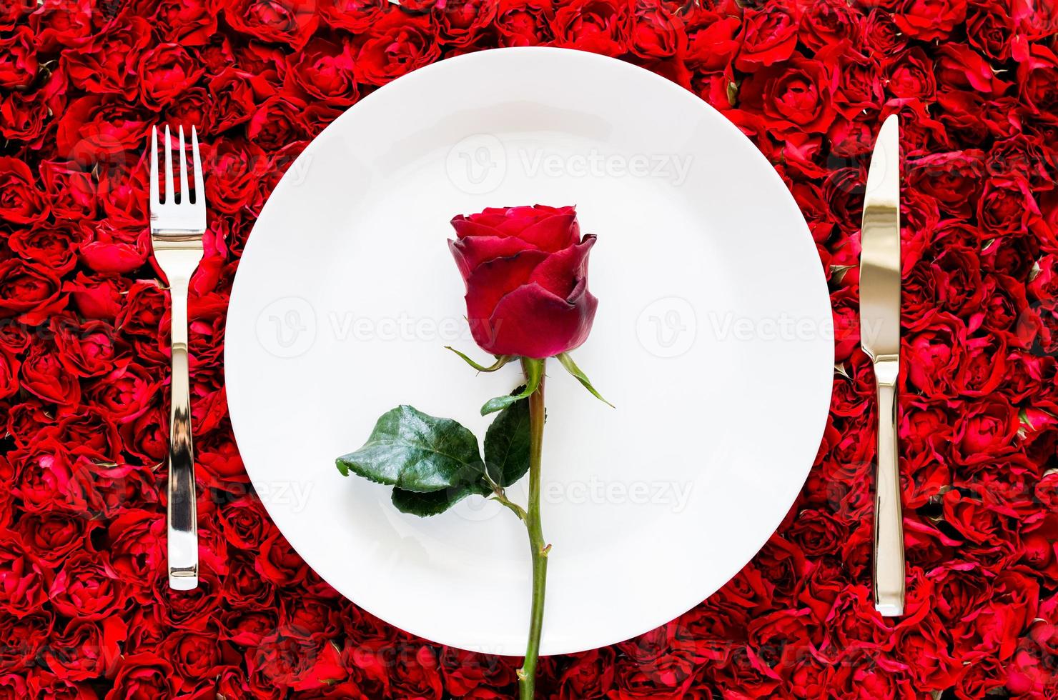 Red rose put on white plate with knife and fork on red rose background for dining, anniversary and Valentine day concept. photo