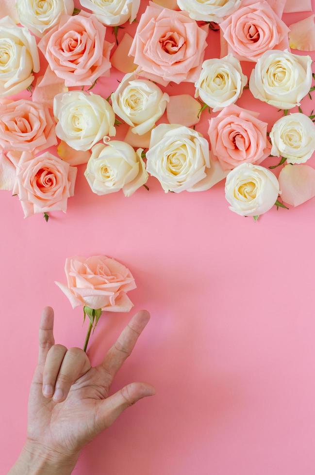 Hand making sign language I Love You with a single pink rose with the others at the top put on pink background for Valentine day. photo