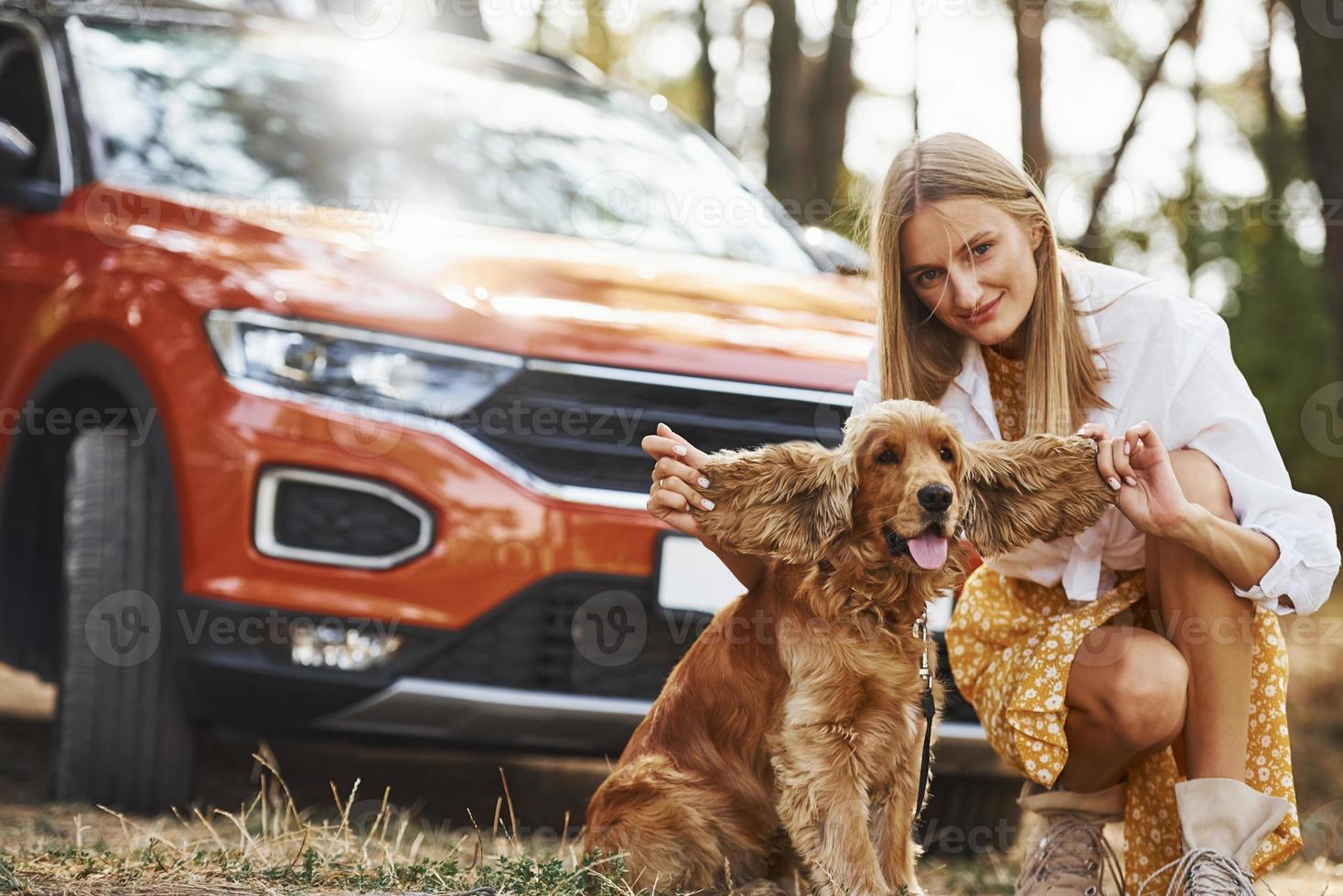 Woman with her dog outdoors in the forest have good time photo