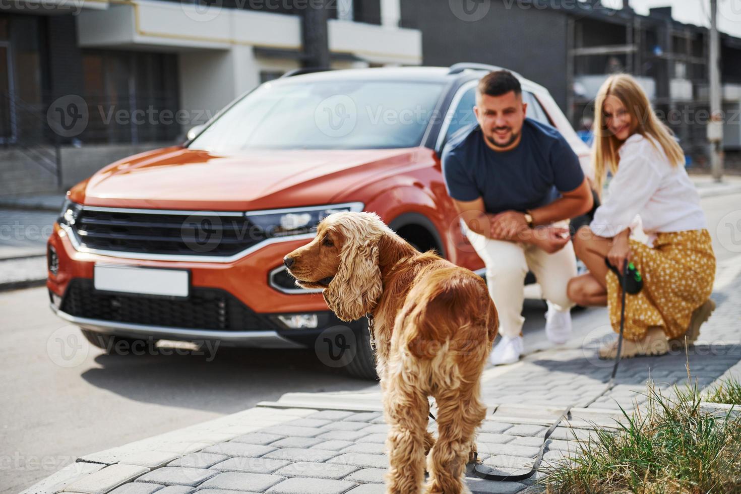 Sits down with pet. Lovely couple have a walk together with dog outdoors near the car photo