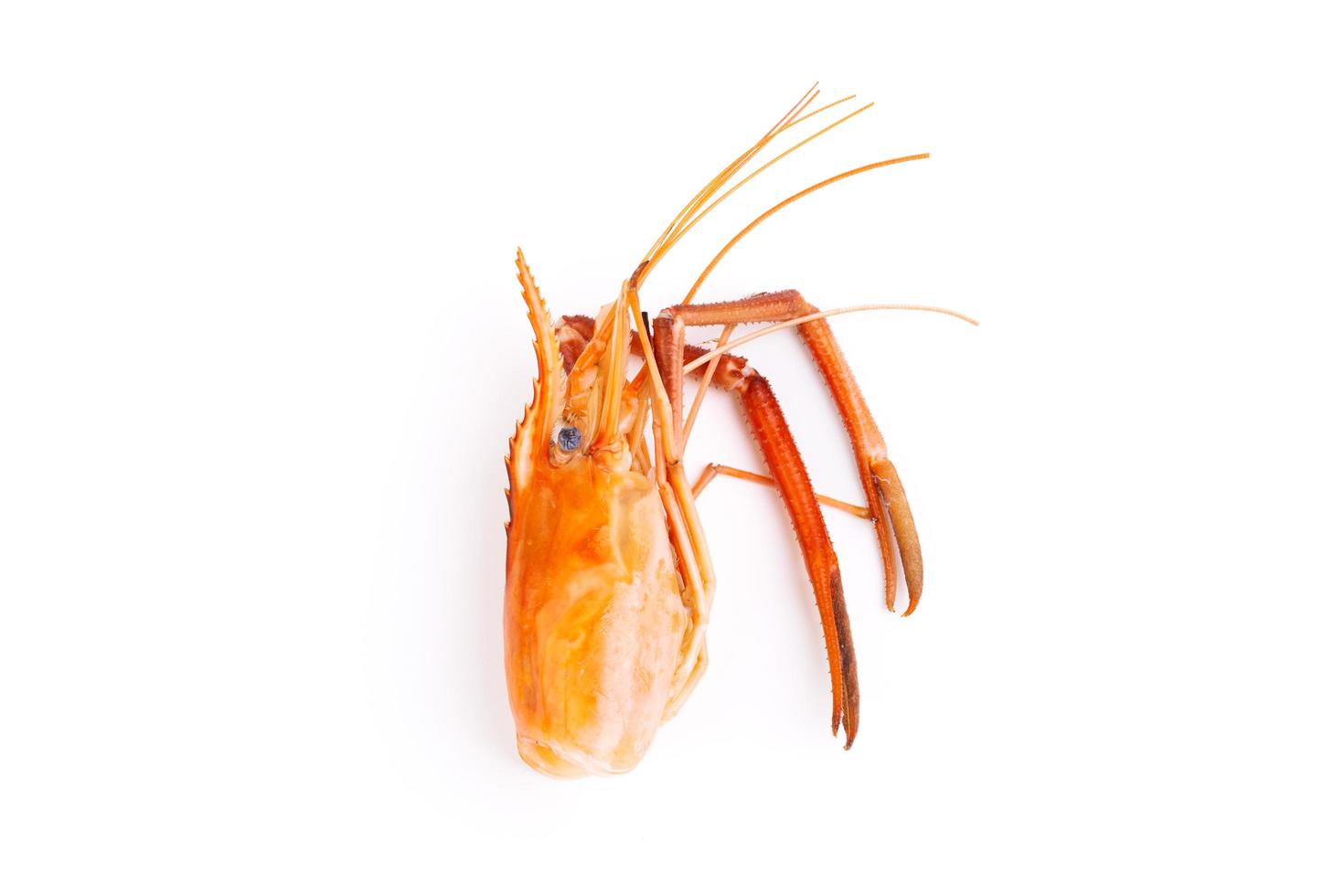 una cabeza de camarón y caparazones de camarón, restos de comida, sobras, desperdicios, mariscos naturales. comida. cena aislado sobre fondo blanco foto