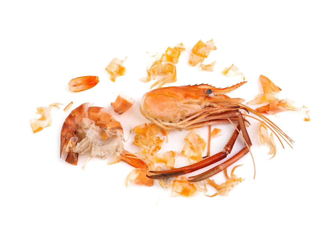 Shrimp heads and shrimp shells, food waste, leftovers, waste. Natural seafood. Lunch. Dinner isolated on white background. photo