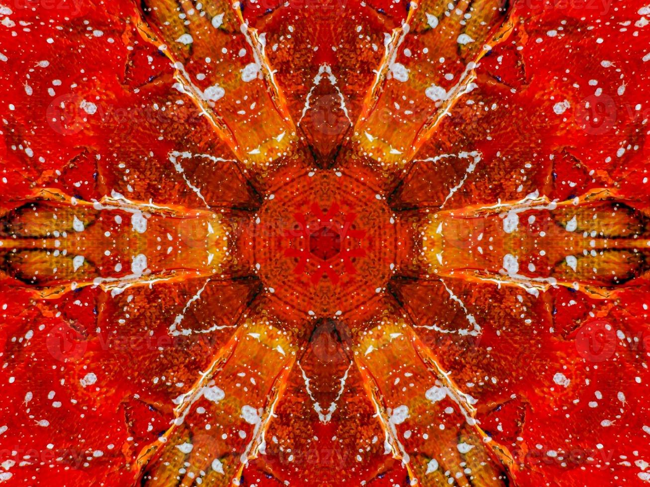 Colorful red fire kaleidoscope background abstract flower and symmetric pattern photo
