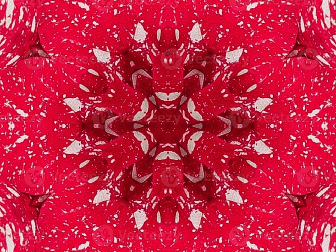 Red floral kaleidoscope background abstract unique and symmetric pattern for christmas vibes photo