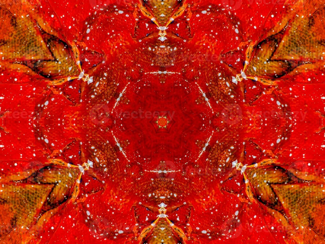 Colorful red fire kaleidoscope background abstract flower and symmetric pattern photo