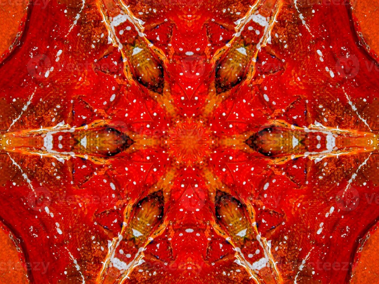 Colorful red fire kaleidoscope background abstract flower and symmetric pattern photo