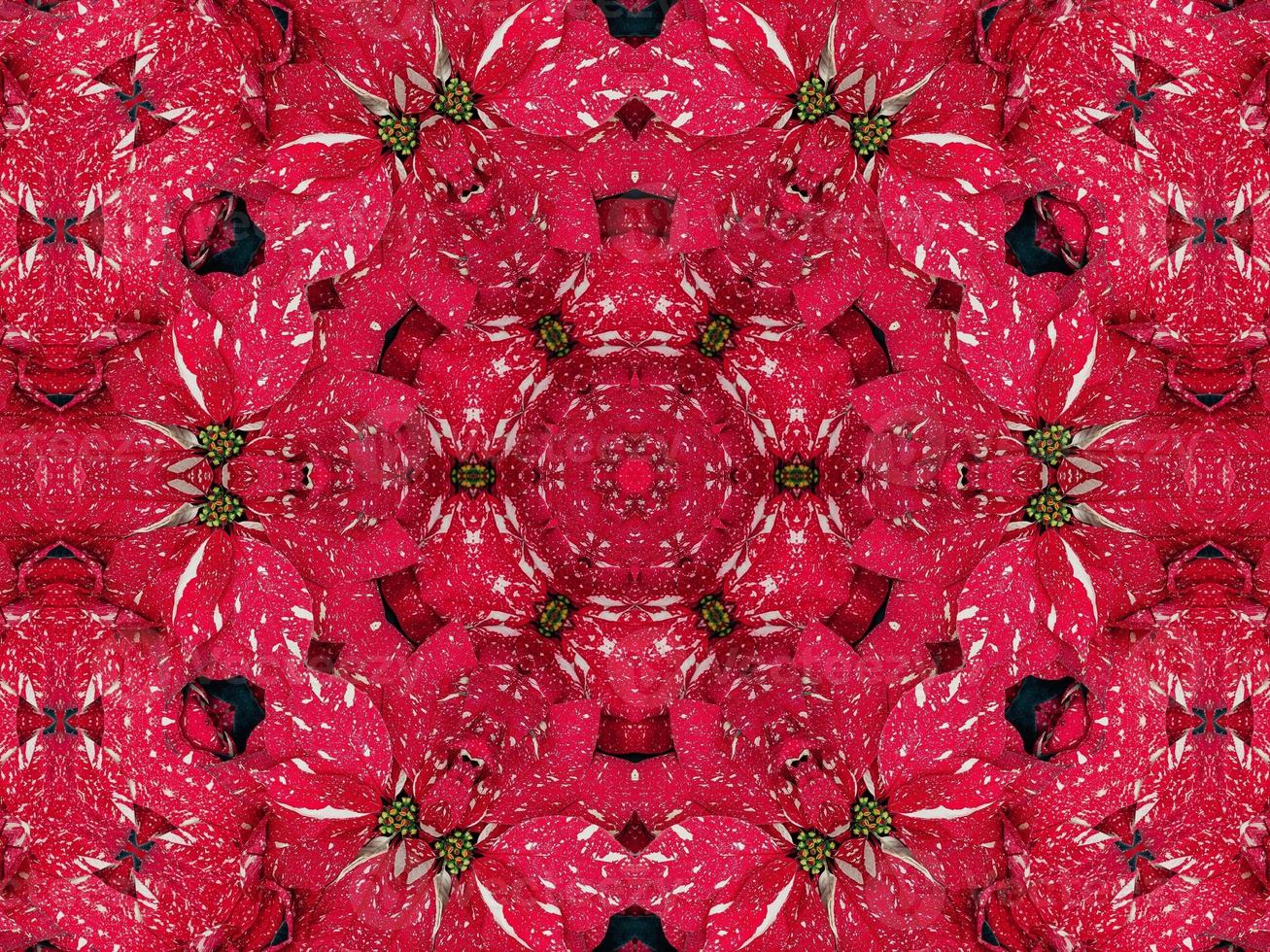 Red floral kaleidoscope background abstract unique and symmetric pattern for christmas vibes photo