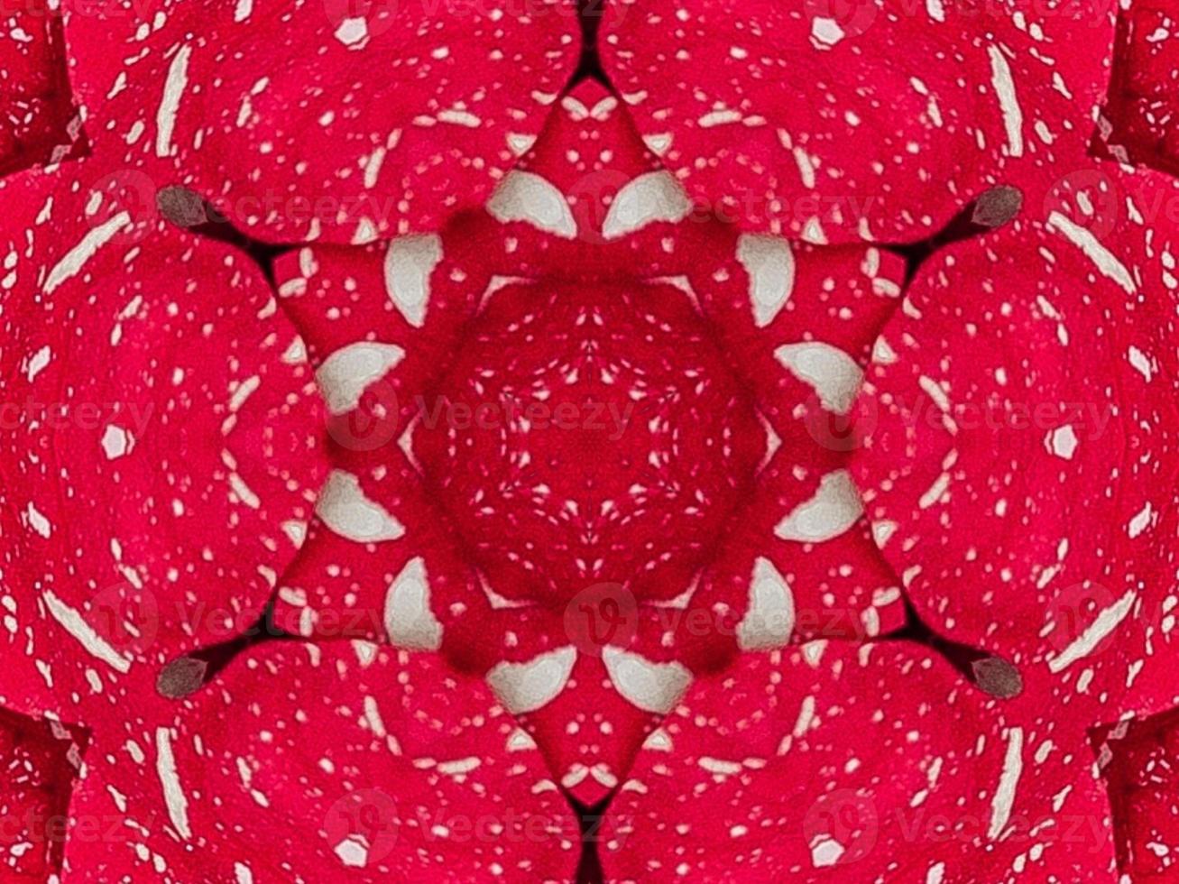 Red floral kaleidoscope background abstract unique and symmetric pattern for christmas vibes photo