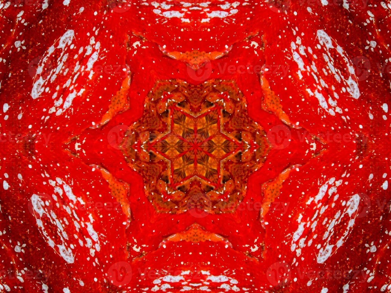 Colorful red fire kaleidoscope background abstract flower and symmetric pattern photo