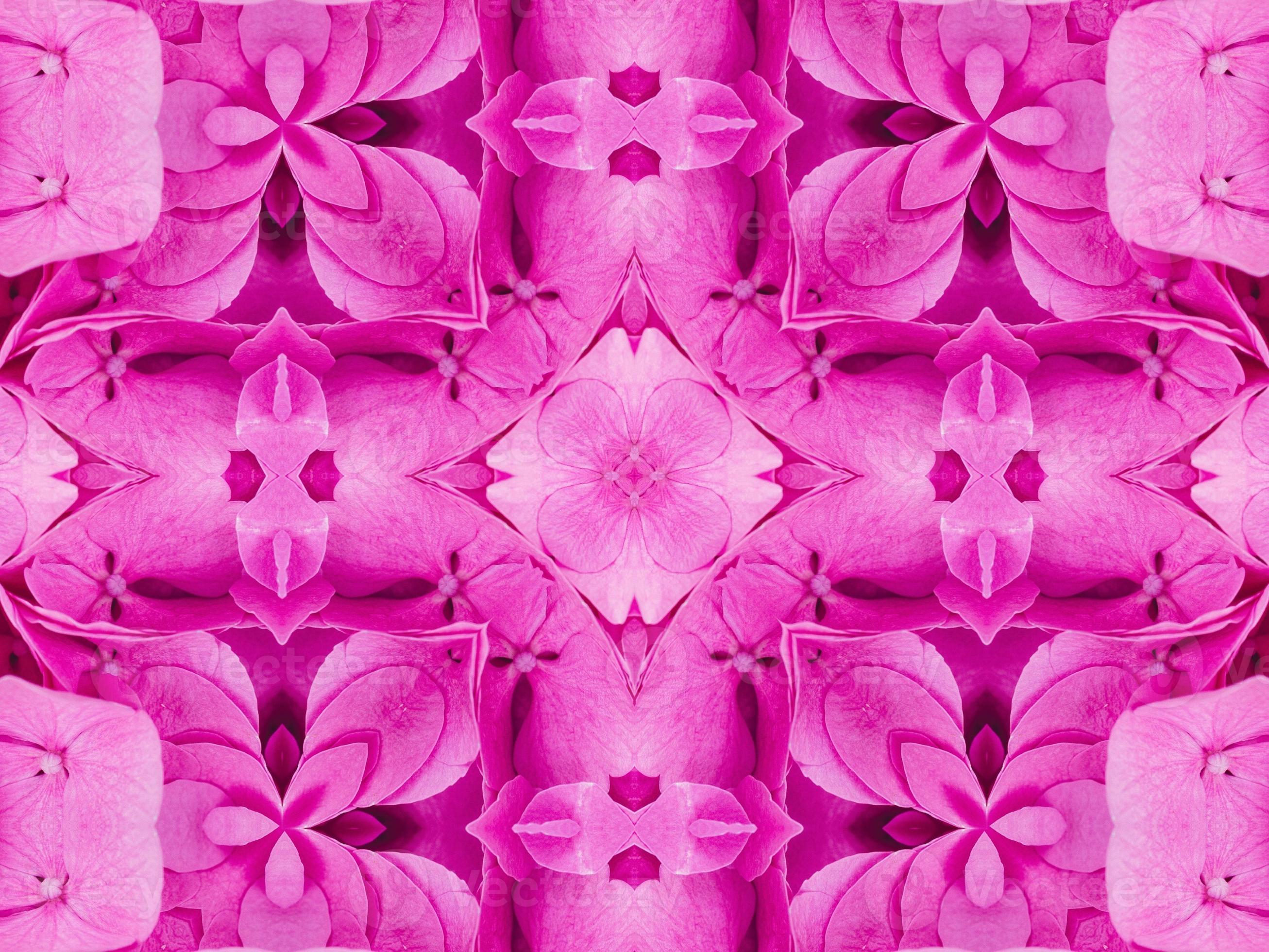 Hoa Tím Kaleidoscope Magenta: \