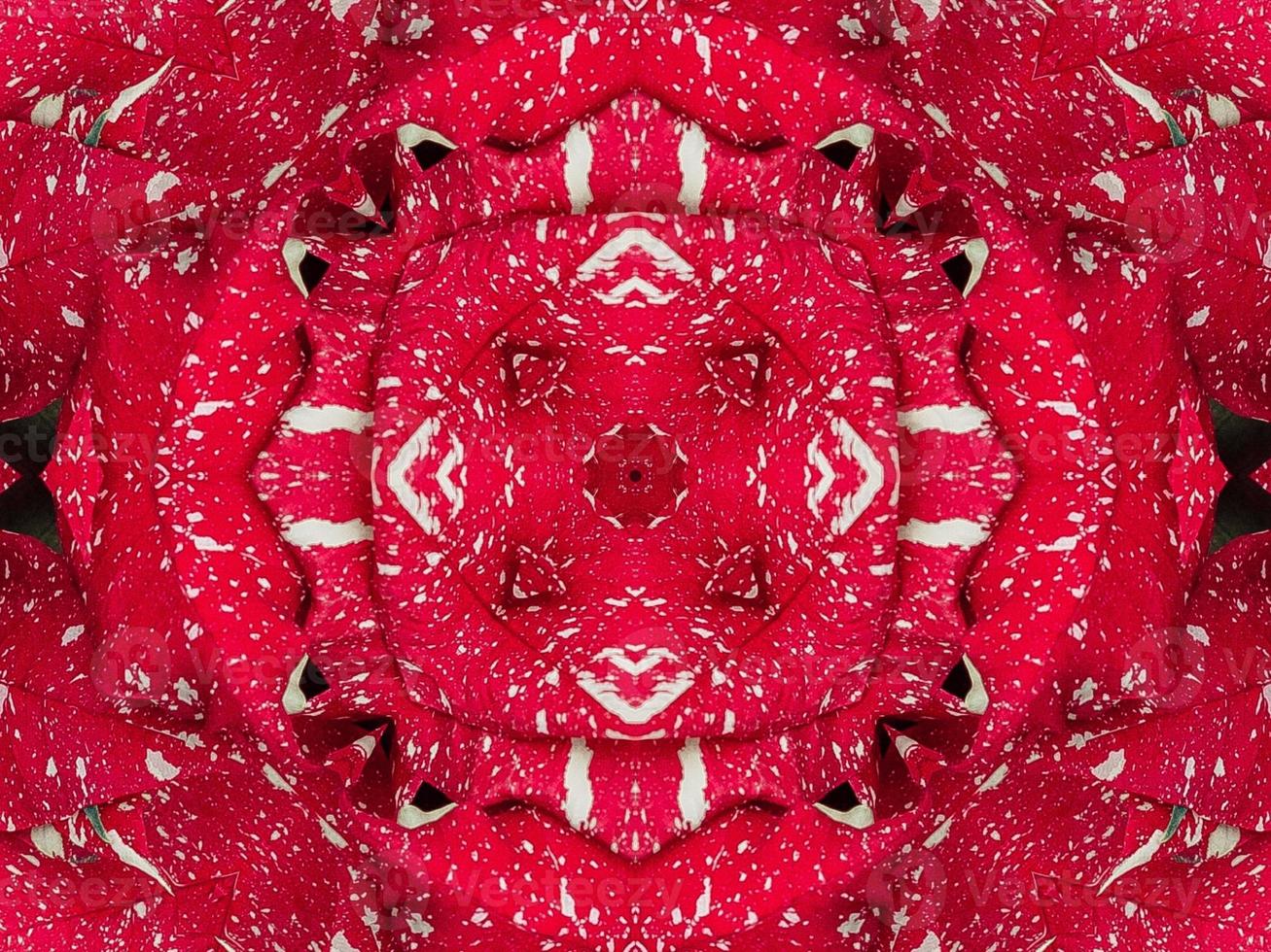 Red floral kaleidoscope background abstract unique and symmetric pattern for christmas vibes photo
