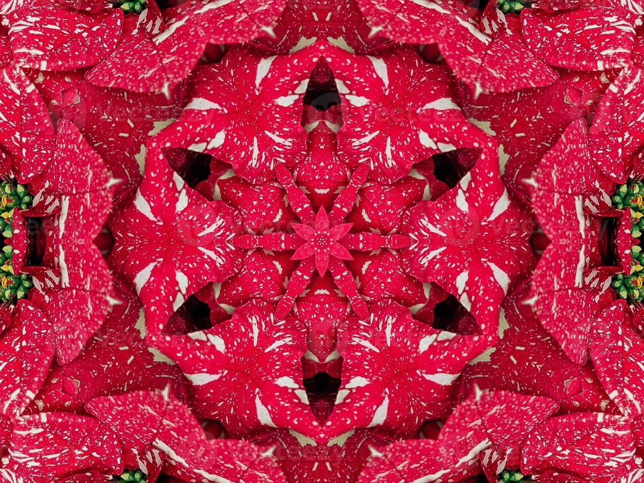 fondo de caleidoscopio floral rojo abstracto patrón único y simétrico para vibraciones navideñas foto