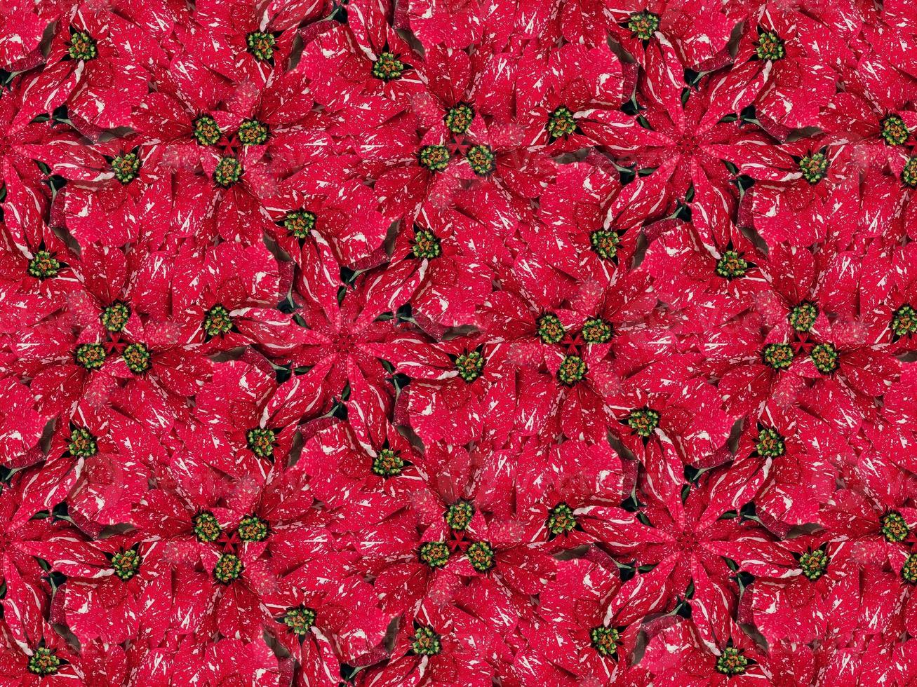 Red floral kaleidoscope background abstract unique and symmetric pattern for christmas vibes photo