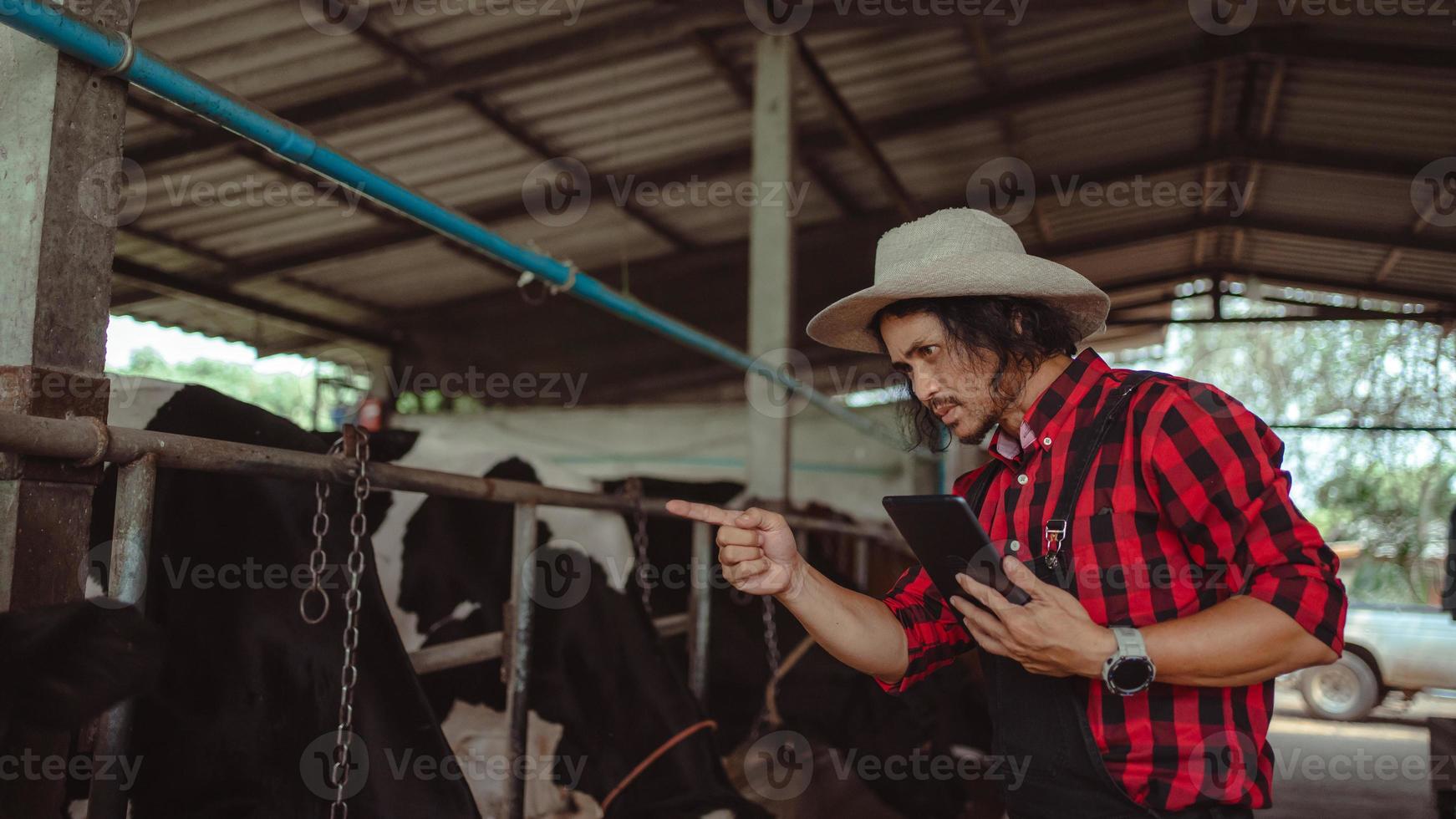 agricultor que usa tableta para controlar su ganado y la calidad de la leche en la granja lechera. industria agrícola, concepto de agricultura y ganadería, vaca en la granja lechera comiendo heno, establo. foto