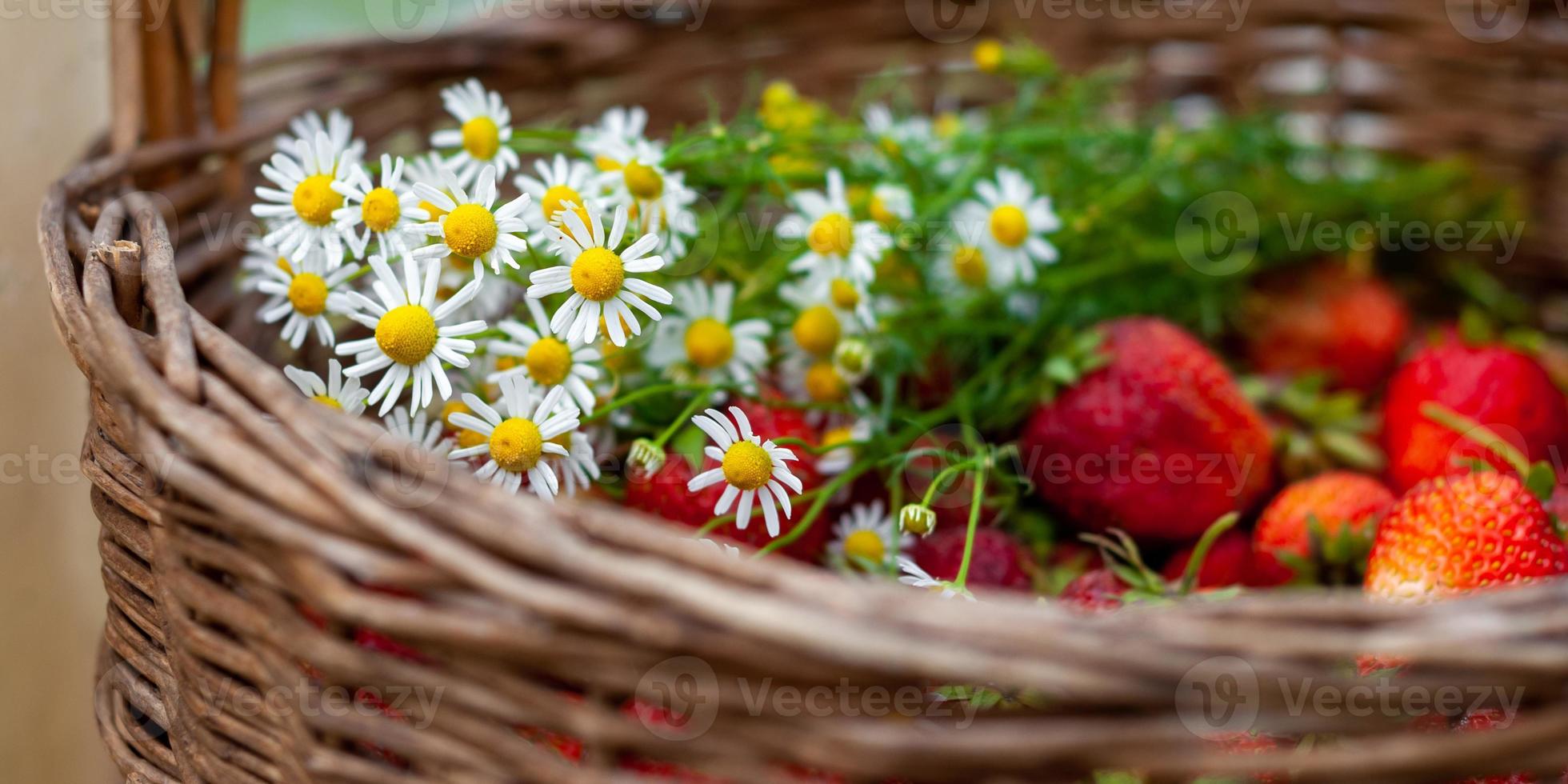 Chamomile bouquet in a basket with ripe strawberries, close-up photo